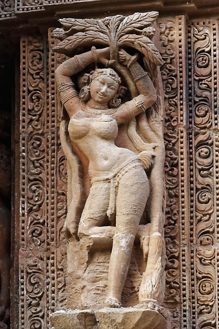 Bhubaneswar-Rajarani temple-039